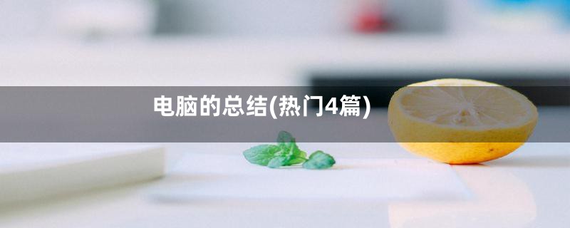 电脑的总结(热门4篇)