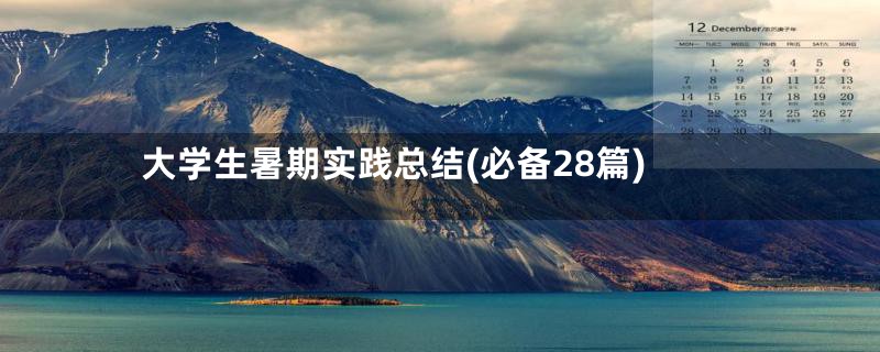 大学生暑期实践总结(必备28篇)