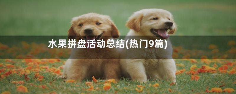 水果拼盘活动总结(热门9篇)