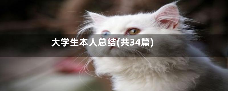 大学生本人总结(共34篇)