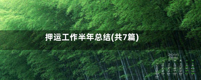 押运工作半年总结(共7篇)