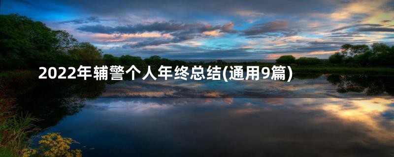 2022年辅警个人年终总结(通用9篇)