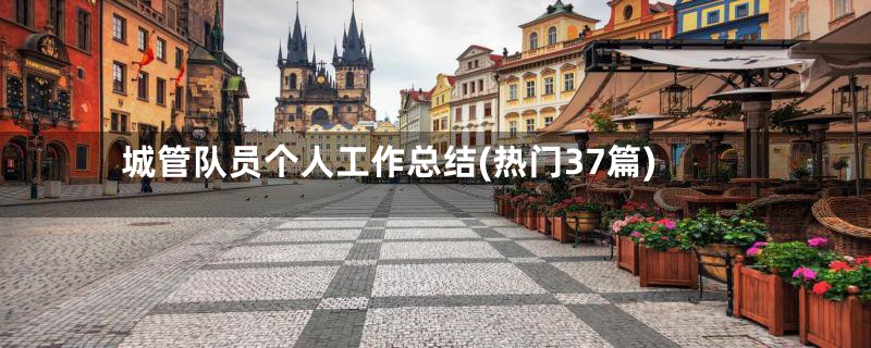 城管队员个人工作总结(热门37篇)