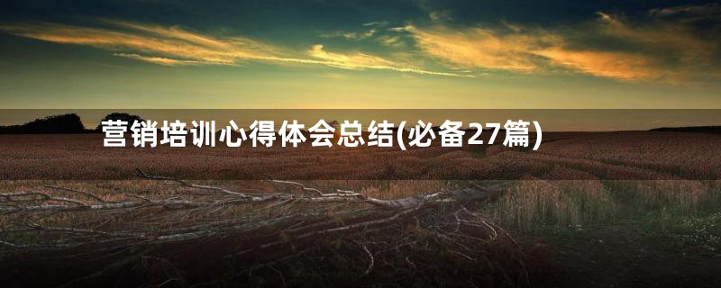 营销培训心得体会总结(必备27篇)