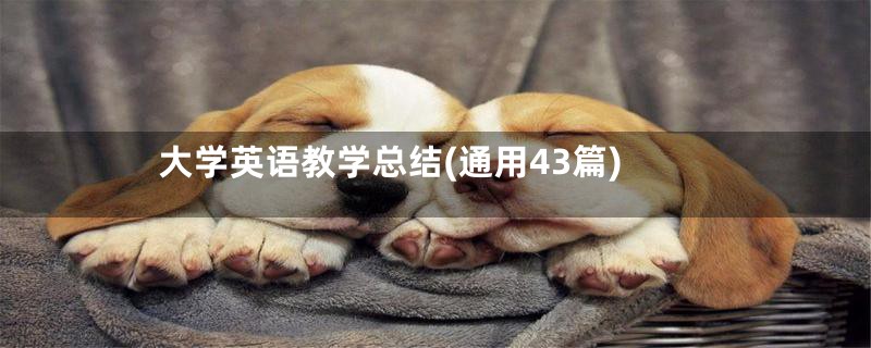 大学英语教学总结(通用43篇)