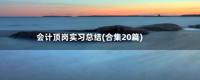 会计顶岗实习总结(合集20篇)