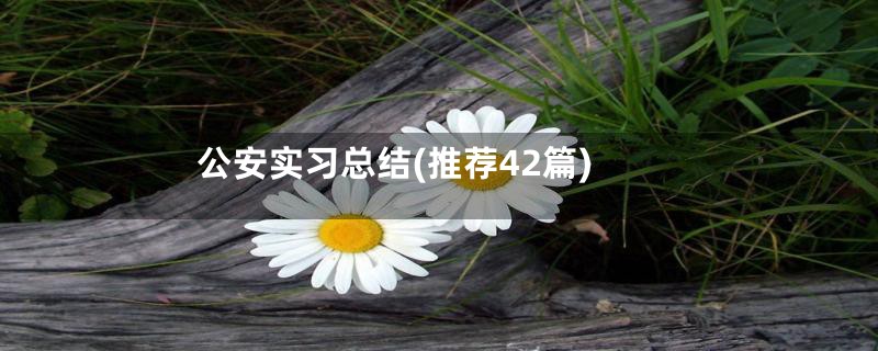 公安实习总结(推荐42篇)