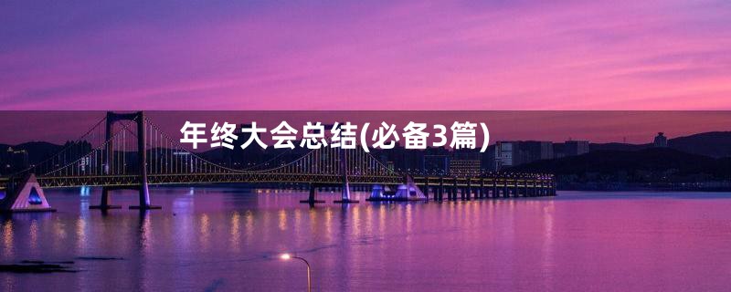 年终大会总结(必备3篇)