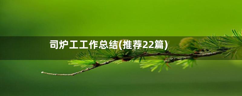 司炉工工作总结(推荐22篇)