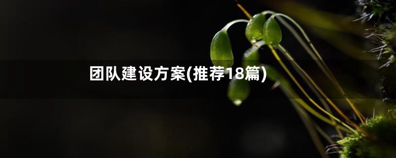 团队建设方案(推荐18篇)
