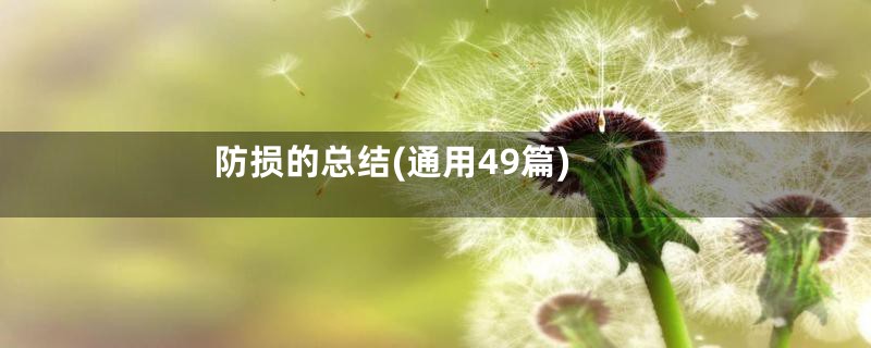 防损的总结(通用49篇)