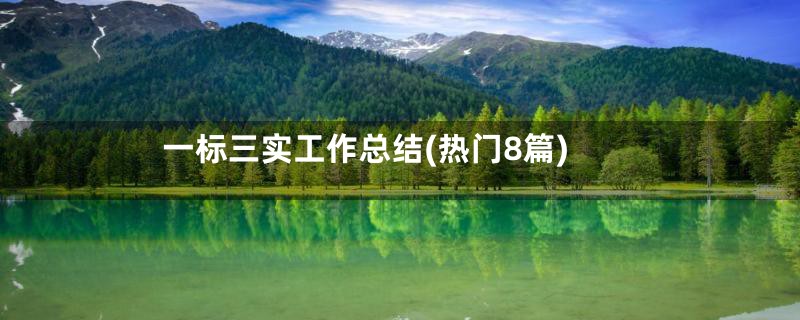一标三实工作总结(热门8篇)