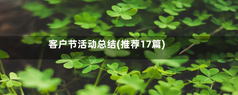 客户节活动总结(推荐17篇)