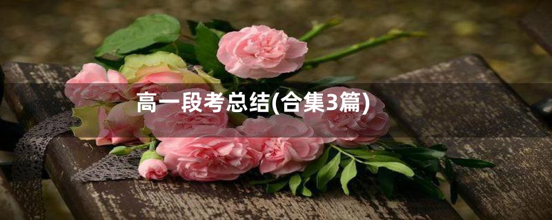 高一段考总结(合集3篇)