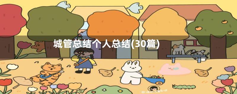 城管总结个人总结(30篇)