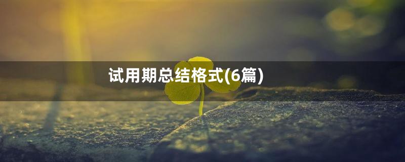 试用期总结格式(6篇)