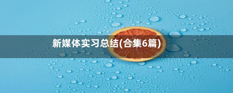 新媒体实习总结(合集6篇)