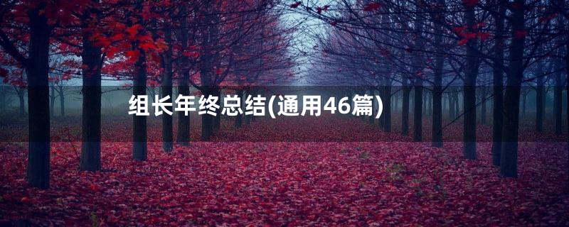 组长年终总结(通用46篇)