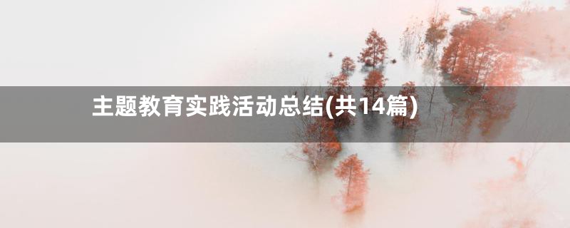 主题教育实践活动总结(共14篇)