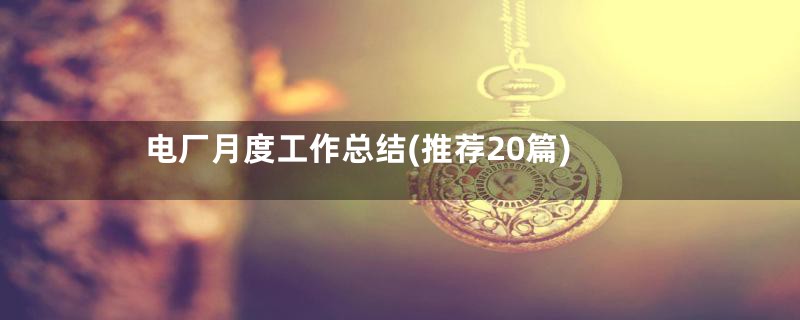 电厂月度工作总结(推荐20篇)