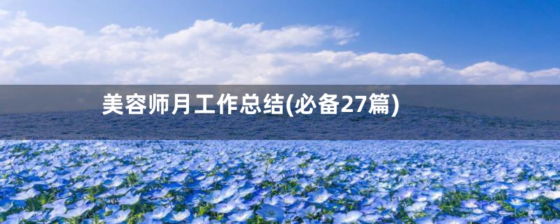 美容师月工作总结(必备27篇)