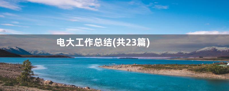 电大工作总结(共23篇)