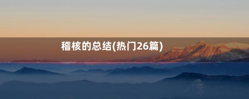 稽核的总结(热门26篇)