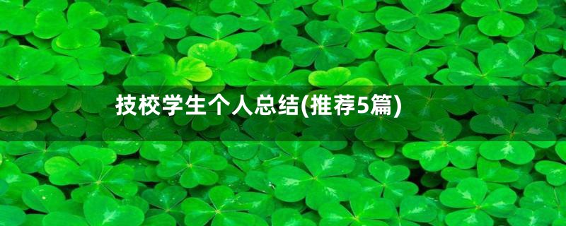 技校学生个人总结(推荐5篇)