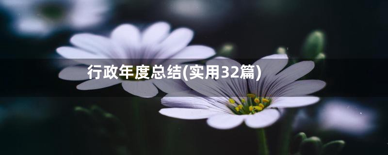 行政年度总结(实用32篇)