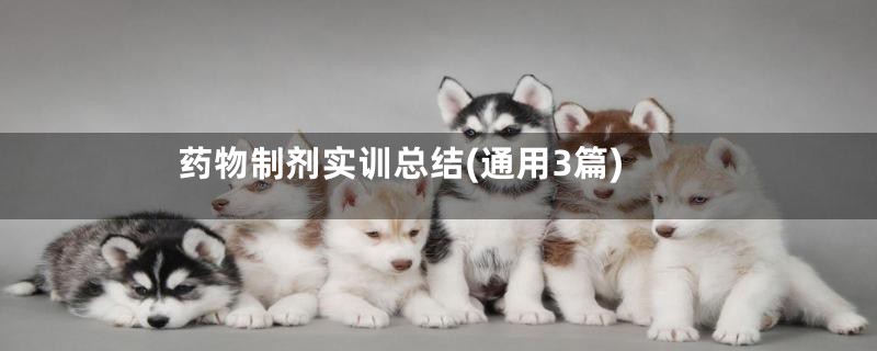 药物制剂实训总结(通用3篇)