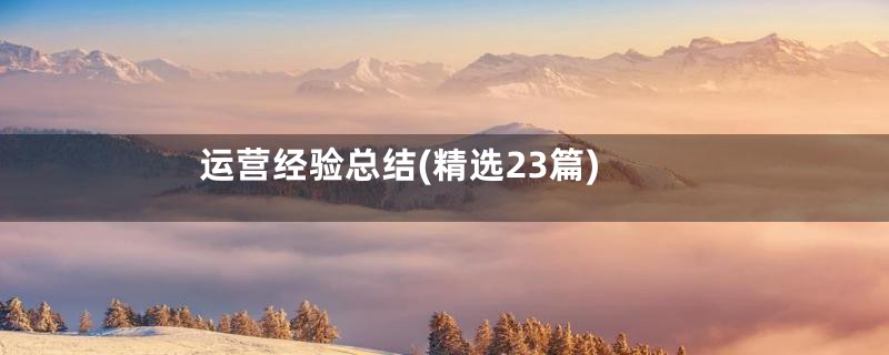 运营经验总结(精选23篇)