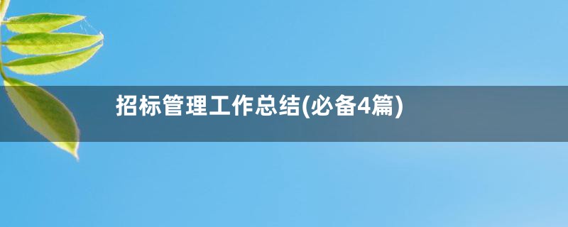 招标管理工作总结(必备4篇)