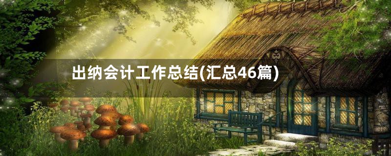 出纳会计工作总结(汇总46篇)
