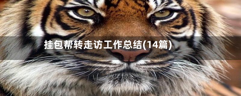 挂包帮转走访工作总结(14篇)