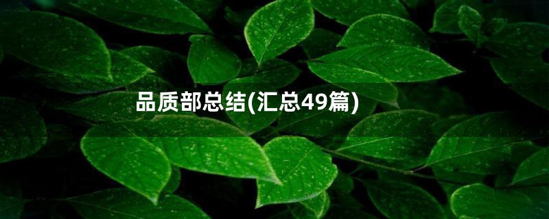 品质部总结(汇总49篇)