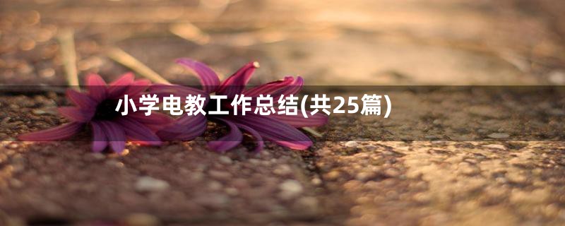小学电教工作总结(共25篇)