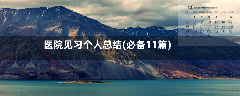 医院见习个人总结(必备11篇)