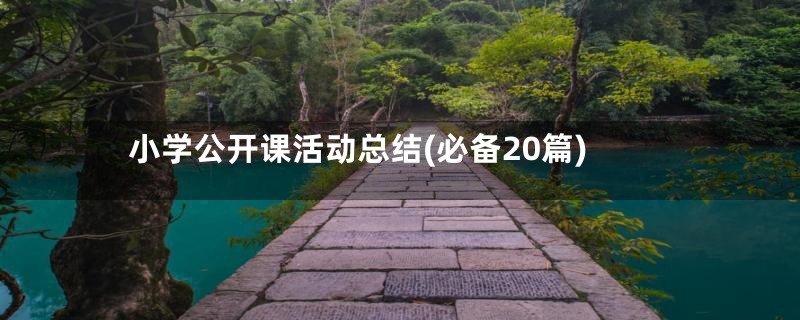 小学公开课活动总结(必备20篇)