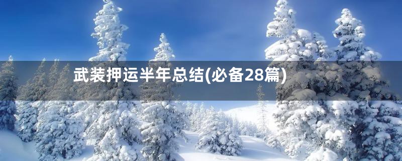 武装押运半年总结(必备28篇)