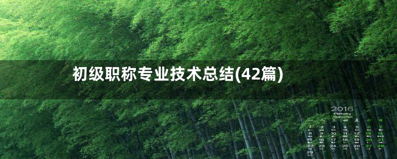 初级职称专业技术总结(42篇)