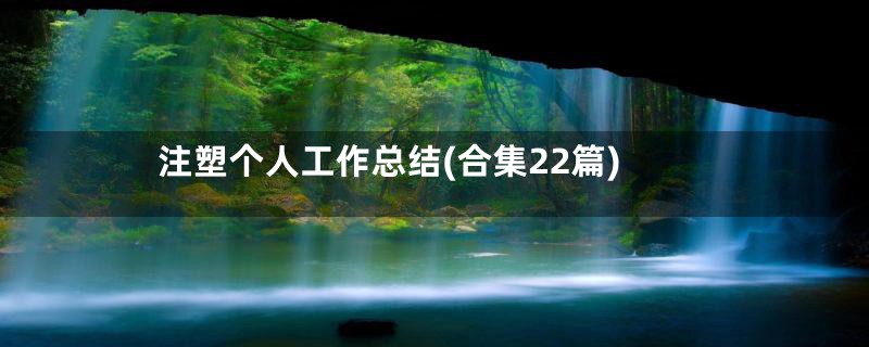 注塑个人工作总结(合集22篇)