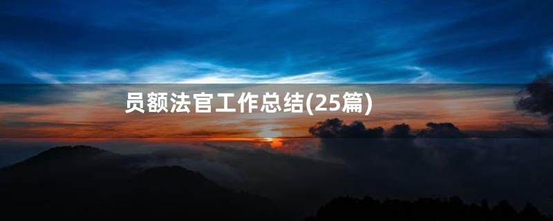 员额法官工作总结(25篇)