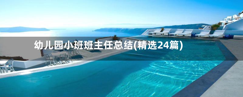 幼儿园小班班主任总结(精选24篇)