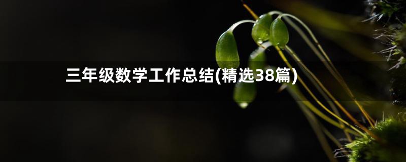 三年级数学工作总结(精选38篇)