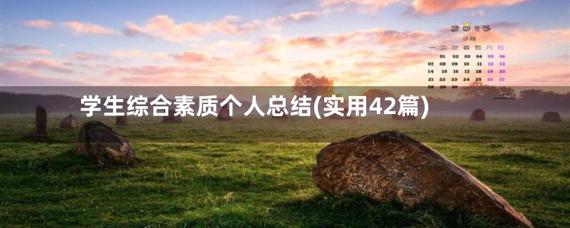 学生综合素质个人总结(实用42篇)