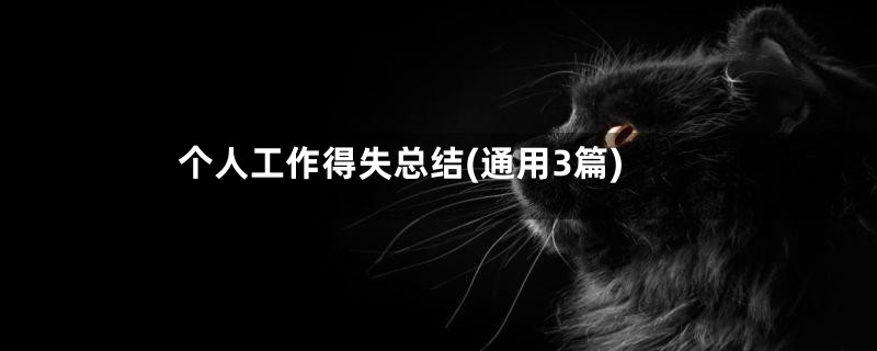 个人工作得失总结(通用3篇)