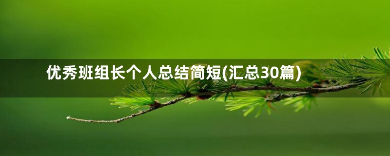 优秀班组长个人总结简短(汇总30篇)