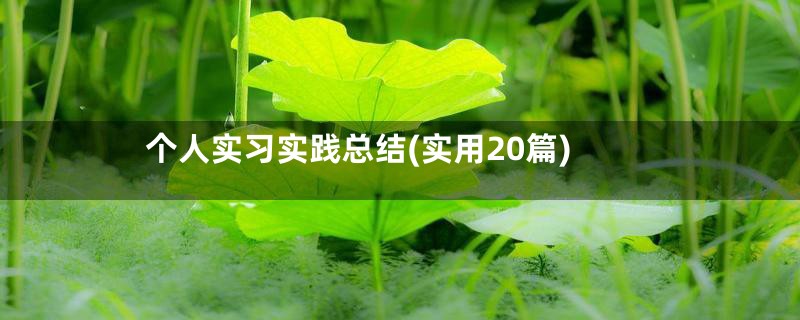个人实习实践总结(实用20篇)