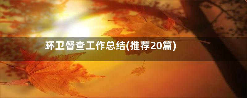 环卫督查工作总结(推荐20篇)