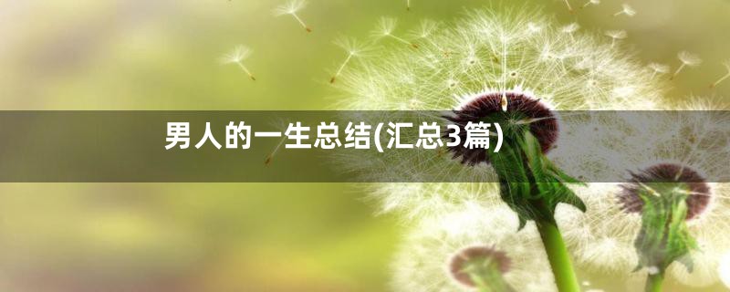 男人的一生总结(汇总3篇)